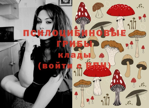 ECSTASY Абаза