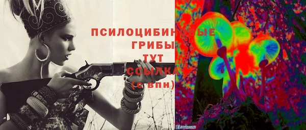 гашик Лагань