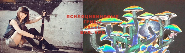 гашик Лагань